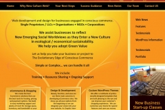 New Culture Website Home Page